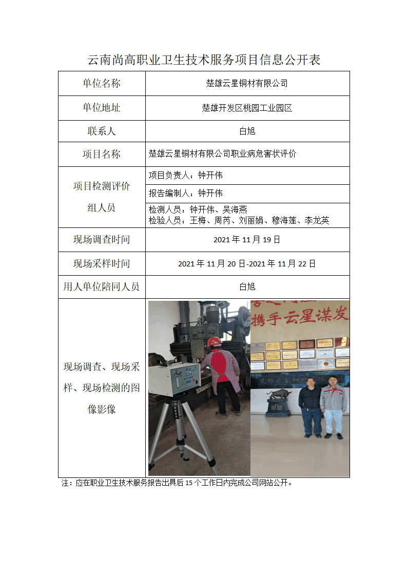 楚雄云星銅材有限公司職業(yè)衛(wèi)生網(wǎng)上公開(kāi)業(yè)績(jī)表模版_01.png